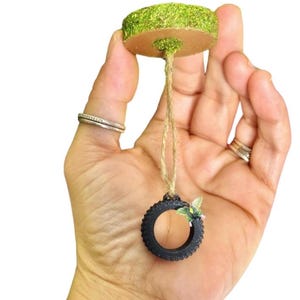 Jumping spider tire swing