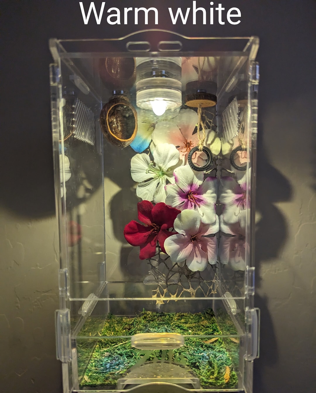 Waterproof Mini LED Light for Jumping Spider Enclosure 4 Color Choices