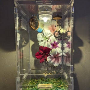 Waterproof mini LED light for jumping spider enclosure - 4 color choices