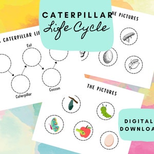 Caterpillar Activity for Kids, Life Cycle of a Caterpillar Activity, A Very Hungry Caterpillar, Toddler Activity, Cut and Glue Worksheet