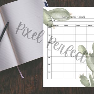 Planificador de comidas Cacti con página de planificación de comidas y tarjeta de recetas en formato carta A4 - Planificador de comidas en formato PDF - Planificador de comidas y tarjeta de recetas en formato PDF
