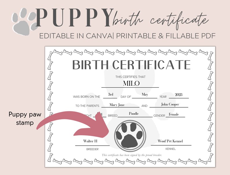 Minimalist Puppy Birth Certificate Printable Dog Birth Certificate ...