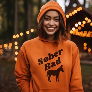 Nüchtern - Unisex Kapuzen-Sweatshirt, Nüchternes Jahrestagsgeschenk, lustiger nüchterner Hoodie, gemütliches Recover-Sweatshirt für Frauen und Männer, Esel Hoodie