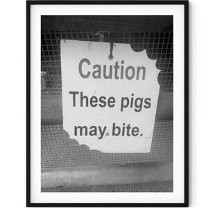 Impresión de arte mural con descarga digital instantánea en blanco y negro: Precaución: Estos cerdos pueden morder.