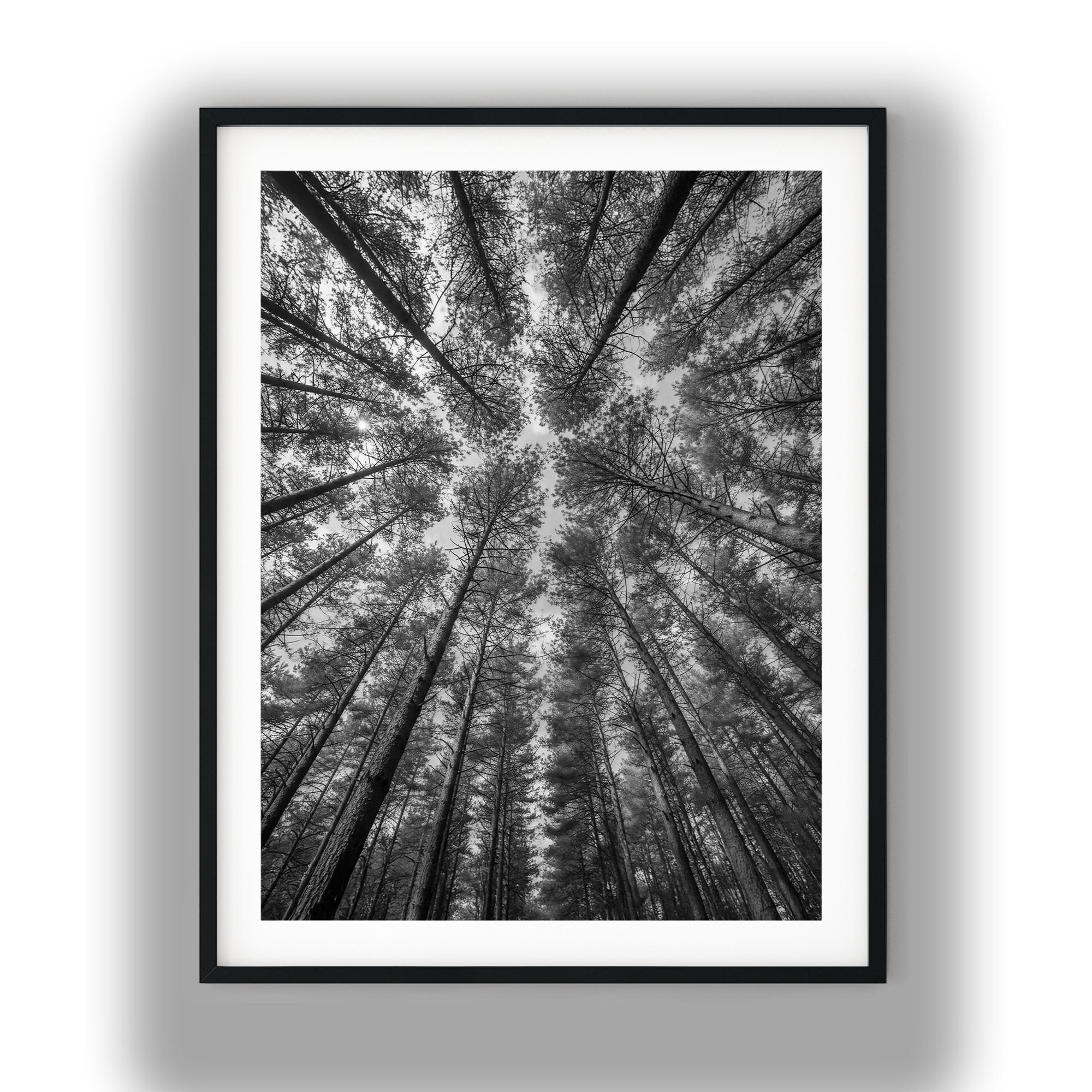 白黒写真のインスタントデジタルダウンロードウォールアートプリント 