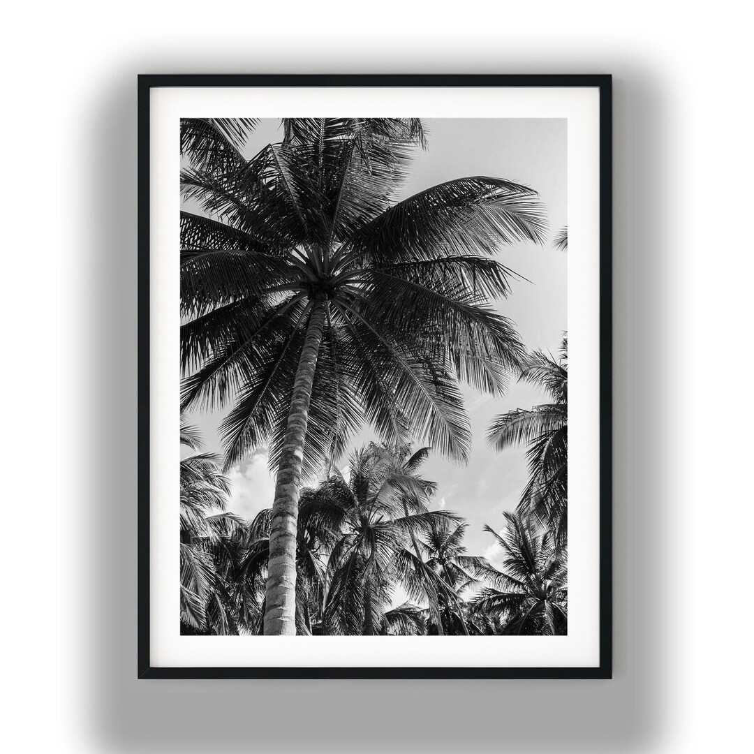 Black and White Coconut Palm Trees Print, Tropical Wall Art Photography ...