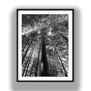 May include: A rustic wooden sign with the text "Welcome to our home" in white lettering. The sign features a distressed finish and a simple, inviting design, perfect for entryway decor.