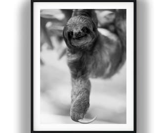 Black and White Sloth Photo Digital Download, Cute Animal Wall Art, Wildlife Portrait, Minimalist Nature Print, Nursery Decor Printable