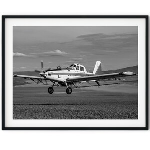 May include: A black and white photograph of a small, white airplane spraying a field. The plane is flying low to the ground and is leaving a trail of spray behind it.