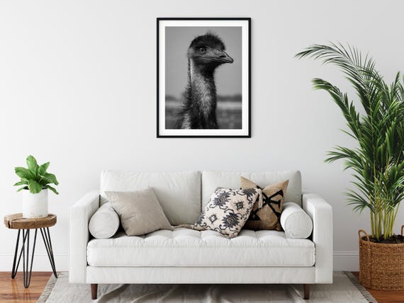 Black and White Photo Instant Digital Download Wall Art Print Emu