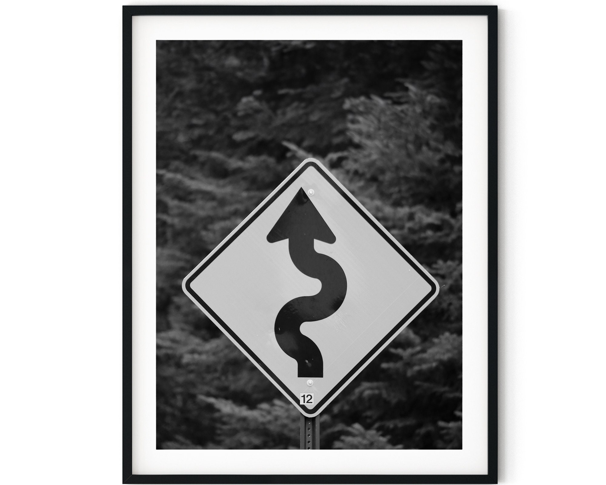 Curvy Road Traffic Sign