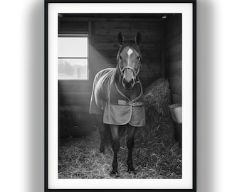 Paard in stal zwart-witte muurkunst, boerderijdecor digitale download, ruiterprint, hengstenposter, humeurig paardfotografie