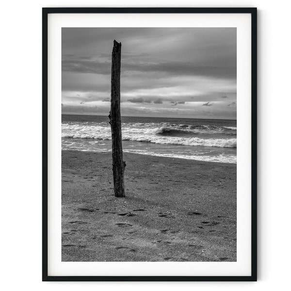 Foto in bianco e nero Download digitale istantaneo Stampa artistica da parete Post in legno alla deriva nell'immagine della sabbia