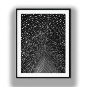 Black and White String Lights Photography, Abstract Geometry Wall Art Print, Digital Download