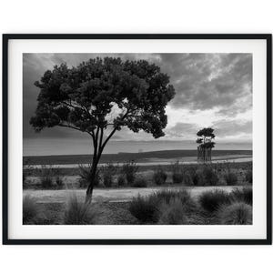 Impresión de arte de pared con descarga digital instantánea en blanco y negro, imagen de árboles en un paseo costero