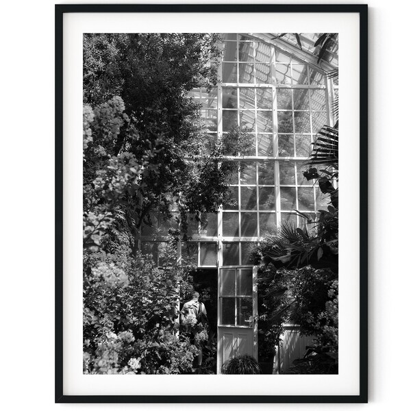 Black And White Photo Instant Digital Download Wall Art Print Greenhouse Flowers Image