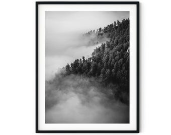 Black And White Photo Instant Digital Download Wall Art Print Foggy Forest Image