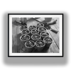 May include: A black and white framed print featuring a collection of small terracotta pots filled with soil and tiny seedlings. Gardening tools, including a hand trowel and a watering can, are arranged around the pots on a wooden surface.