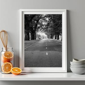 Schwarz und weiß, von Bäumen gesäumte Straße Druck, ruhige Landschaft digitaler Download, Monochrome Natur Wandkunst, druckbare Fotografie, Park Lane Kunst