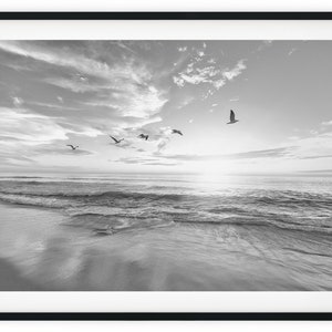 Black And White Photo Instant Digital Download Wall Art Print Sunrise Ocean Birds Image
