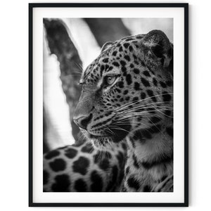 Black And White Photo Instant Digital Download Wall Art Print Leopard Image