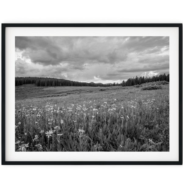 Black And White Photo Instant Digital Download Wall Art Print Wildflowers Landscape Image