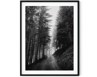 Black And White Photo Instant Digital Download Wall Art Print Forrest Road Image