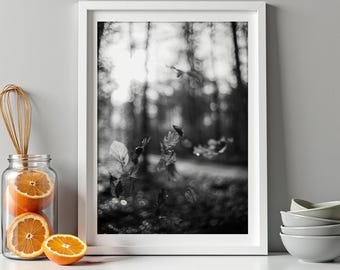 Schwarz und weiß Herbst Blätter fallen Foto, Herbst Wald digitaler Download, Wald Fotografie Print, Natur Wand Kunst zum Ausdrucken