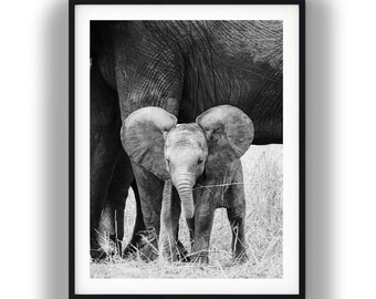 Photo noir et blanc de bébé éléphanteau, art mural de pépinière de faune, téléchargement numérique d'éléphant d'Afrique, impression d'animal de safari