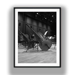 Orchestra Double Bass String Instruments Print, B&W Photo Digital Download, Classical Music Hall, Stage Lighting decor, wall art, musicians