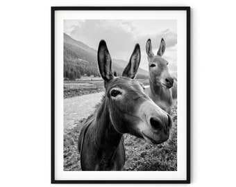 Black And White Photo Instant Digital Download Wall Art Print Donkeys Image
