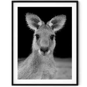 Black And White Photo Instant Digital Download Wall Art Print Kangaroo Image