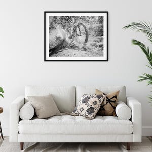 May include: A black and white framed landscape photograph depicting a curved tree trunk in a forest setting, displayed on a white wall above a white sofa with three decorative throw pillows, a side table with a plant, and a potted palm.