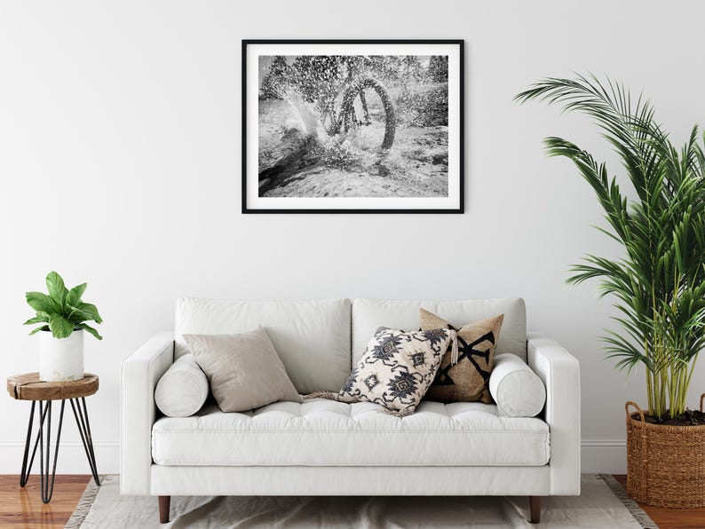 May include: A black and white framed landscape photograph depicting a curved tree trunk in a forest setting, displayed on a white wall above a white sofa with three decorative throw pillows, a side table with a plant, and a potted palm.