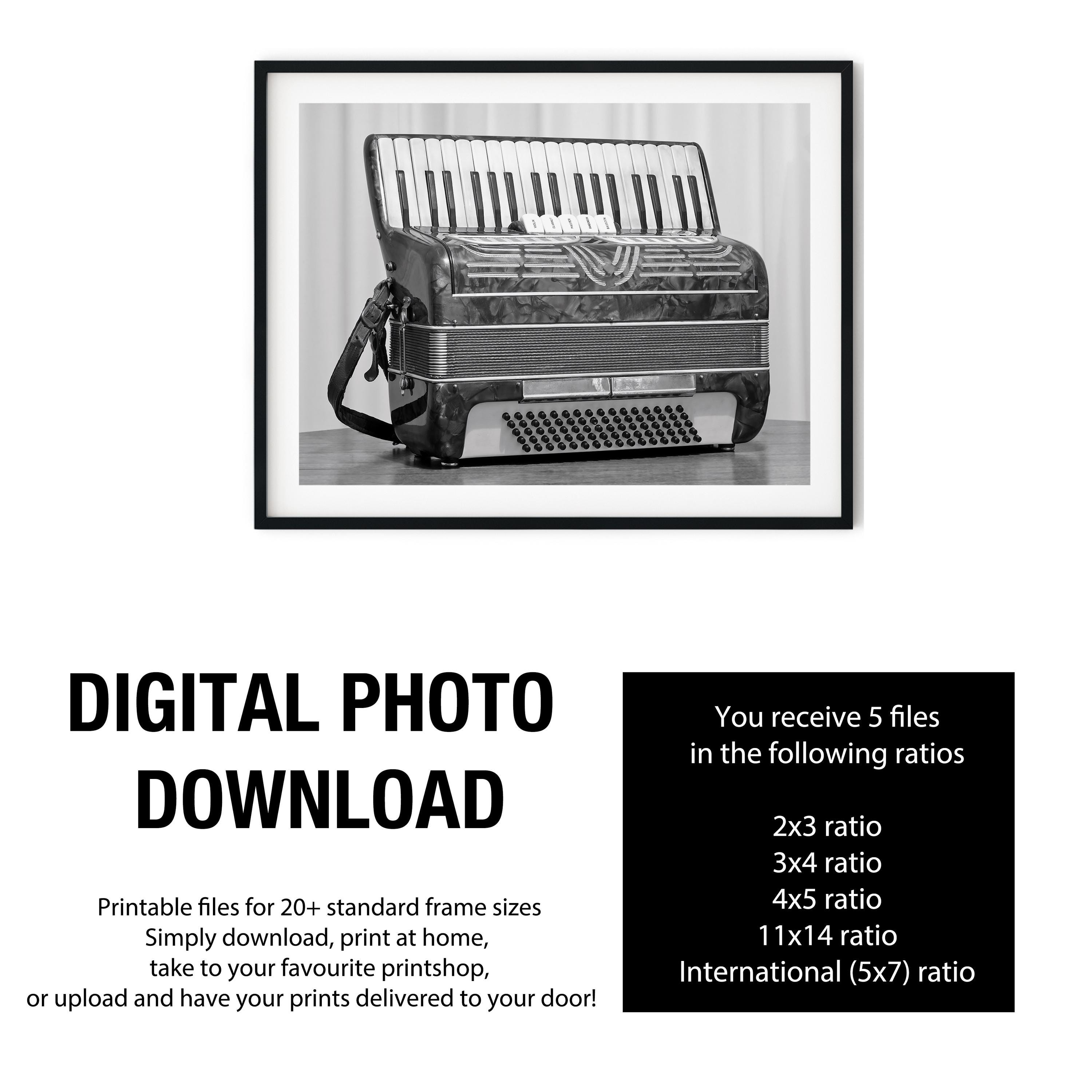 Vintage Accordion Black and White Photography Print, Retro Musical