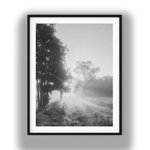 Op de afbeelding: Een zwart-wit ingelijste wandkunstprint met een landschapsscène met een dichte groep bomen aan de linkerkant en een enkele boom in de verte. Zonlicht schijnt door de ochtendmist en verlicht een grasveld en een kleine greppel.