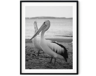 Black And White Photo Instant Digital Download Wall Art Print Pelican Birds Image