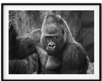 Black And White Photo Instant Digital Download Wall Art Print Gorilla Image
