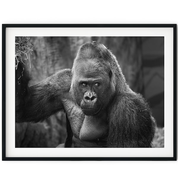 Black And White Photo Instant Digital Download Wall Art Print Gorilla Image