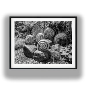 May include: Black and white photograph of a garden scene featuring large, snail-shaped sculptures atop natural rocks. The sculptures have a spiral design and are surrounded by lush greenery, creating a whimsical outdoor art display.