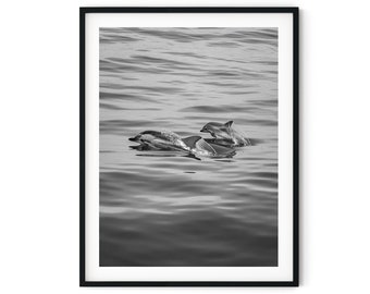 Black And White Photo Instant Digital Download Wall Art Print Dolphins Image