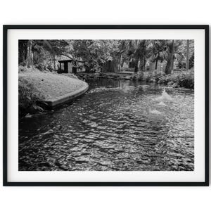 Schwarzweiß-Foto-Sofortiger digitaler Download Wand-Kunstdruck Botanischer Garten-Teich Bild