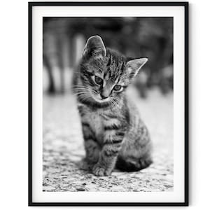 Black And White Photo Instant Digital Download Wall Art Print Tabby Kitten Image