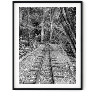 Schwarz Weiß Foto Sofortiger digitaler Download Wand Kunst Druck Botanische Gärten Eisenbahnschienen Bild