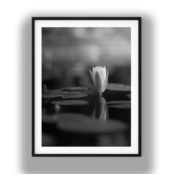 Black and White Water Lily Reflection Print, Elegant Lotus Floral Photography Digital Download
