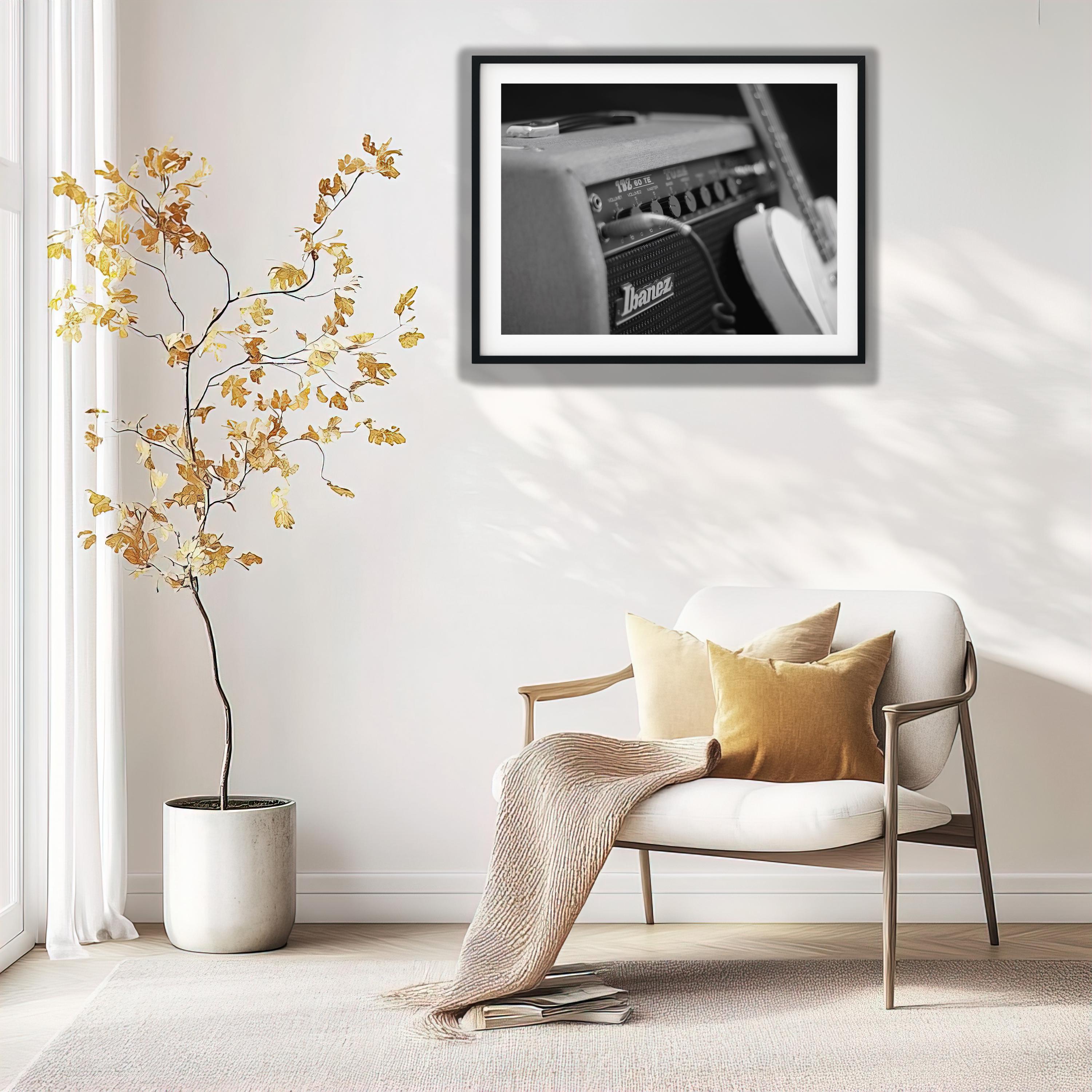 Black and White Vintage Guitar Amp Photo Print, Amplifier Digital