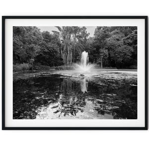 Stampa artistica da parete con foto in bianco e nero, download digitale istantaneo, immagine della fontana dello stagno dei giardini