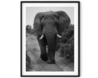 Black And White Photo Instant Digital Download Wall Art Print Elephant Image