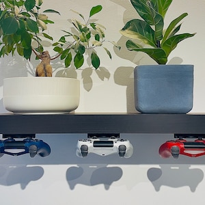 Könnte beinhalten: Drei Videospiel-Controller sind an einem schwarzen Regal befestigt. Die Controller sind blau, weiß und rot. Zwei Topfpflanzen stehen auf dem Regal hinter den Controllern.