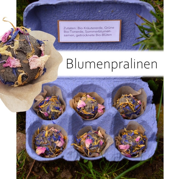 Blumenpralinen / Samenbomben inkl Geschenkverpackung, 6 Stk.